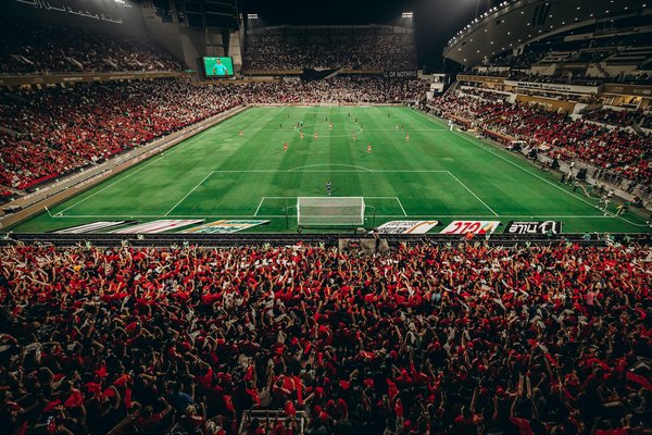 Protéines pour la musculation : pourquoi choisir la whey ?