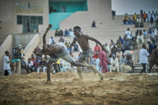 Les protéines pour la musculation : votre guide complet